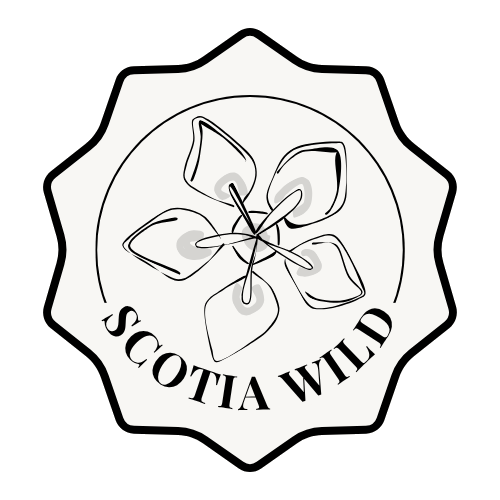 scotia wild logo 1