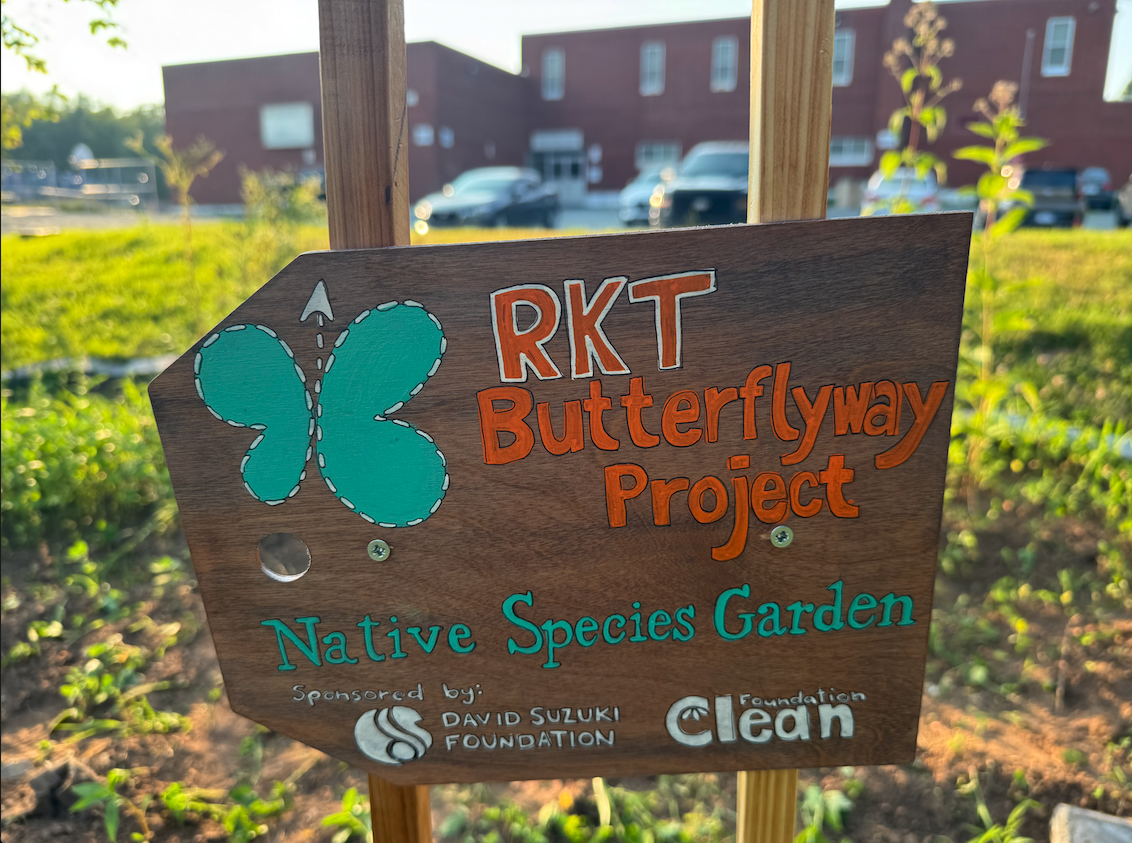 RKT Native species pollinator garden