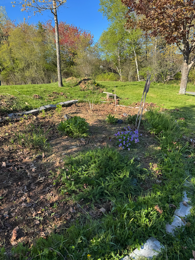 nova scotia native plant species